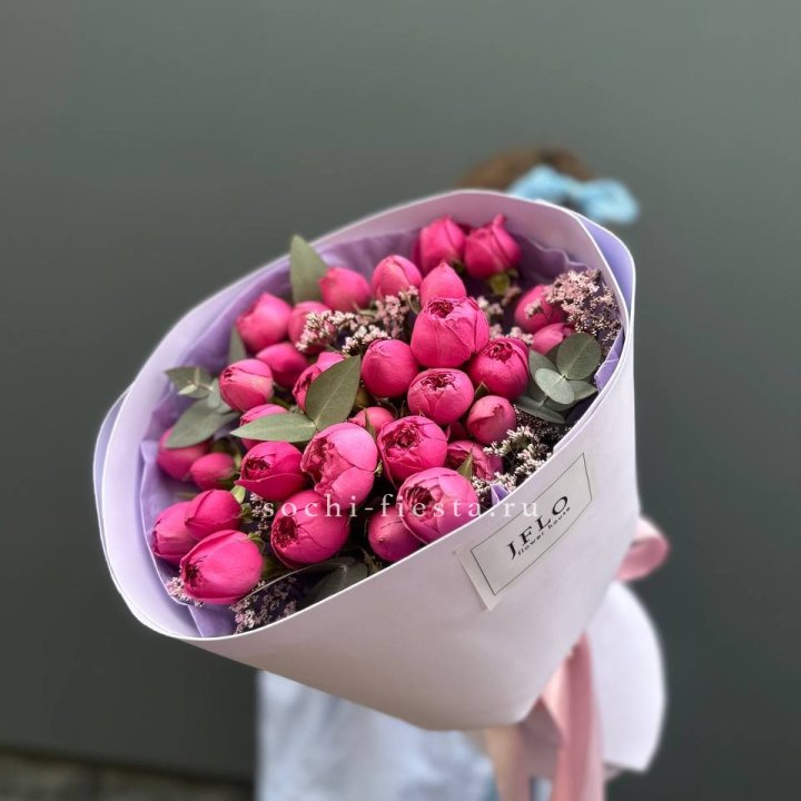 Мисти Баблс  "Кремиси" в Шардже